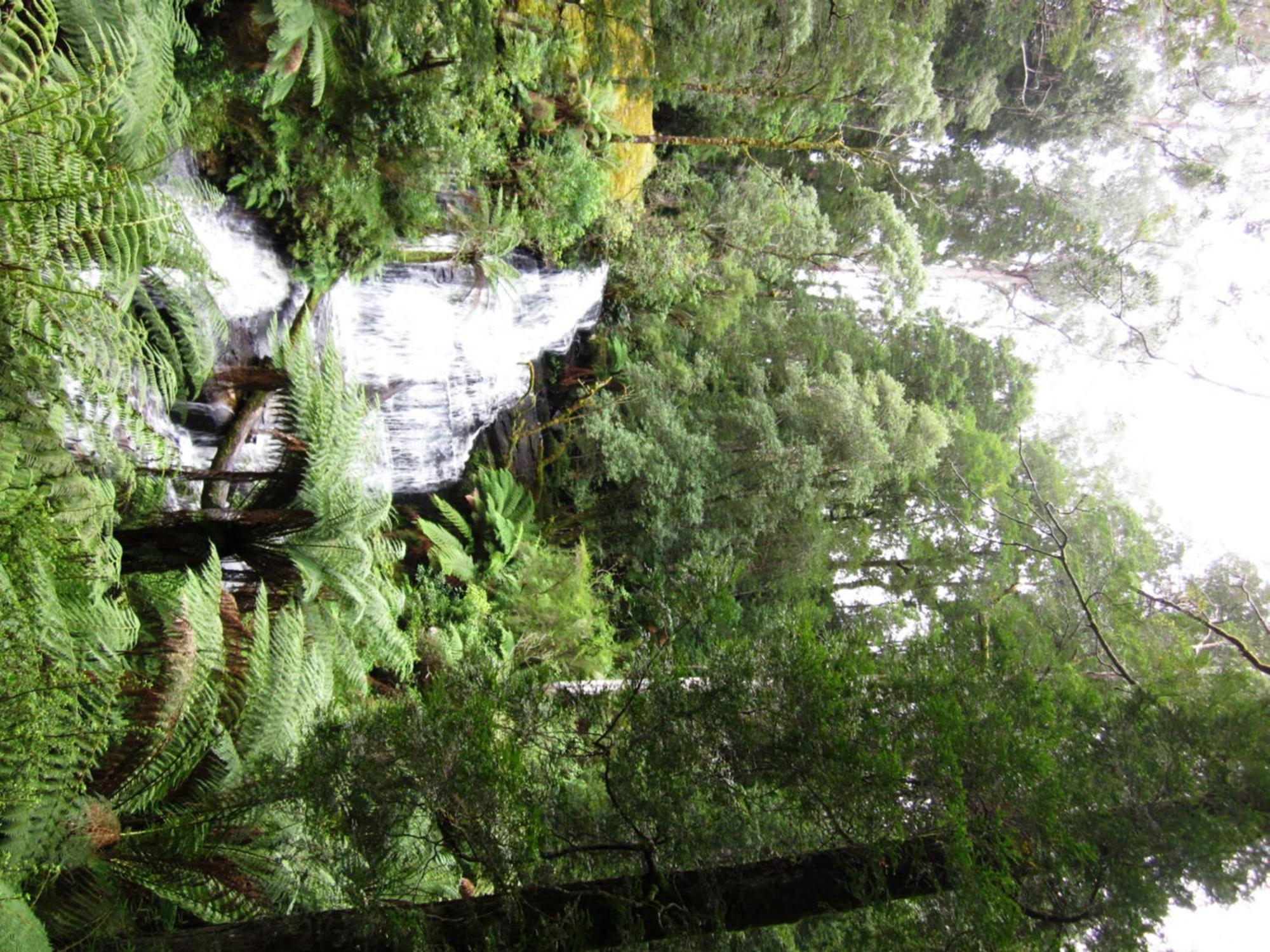 Johanna River Farm & Cottages Exterior photo